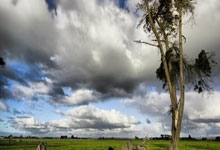 辉达娱乐:CBA:广州朗肽海本男篮109-101福建晋江文旅男篮.