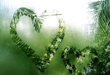 辉达娱乐:杨佳敏时隔六年再登顶 德国羽毛球公开赛夺冠.