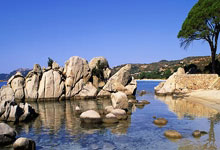 虽然不想毒奶,但是巴萨真的有冠军相啊!.